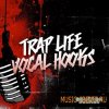 Equinox Sounds - Trap Life Vocal Hooks (WAV) - вокальные сэмплы Equinox Sounds - Trap Life Vocal Hooks (WAV) - вокальные сэмплы