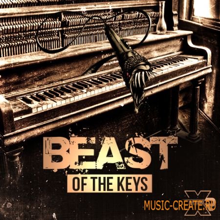 X-R Audio - Beast Of The Keys (WAV MIDI FLP) - сэмплы RnB, Soul
