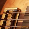 realsamples - 5-String Bass Collection (Multiformat) - сэмплы бас-гитары