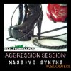 ElectroniSounds - Aggression Session Massive Synths (WAV) - сэмплы синтезаторов ElectroniSounds - Aggression Session Massive Synths (WAV) - сэмплы синтезаторов