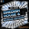 Freaky Loops - Swedish House and Big Room Anthems (WAV) - сэмплы House Freaky Loops - Swedish House and Big Room Anthems (WAV) - сэмплы House