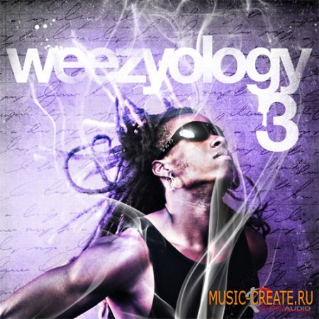 Pound Audio - Weezyology 3 Dirty South (WAV) - сэмплы Dirty South