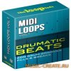 The Loop Loft - Drumatic Beats - MIDI Drum Loops (MIDI) - драм мелодии The Loop Loft - Drumatic Beats - MIDI Drum Loops (MIDI) - драм мелодии