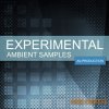 Bluezone Corporation - Experimental Ambient Samples (Wav) - сэмплы Ambient Bluezone Corporation - Experimental Ambient Samples (Wav) - сэмплы Ambient