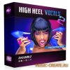 Diginoiz - High Heel Vocals Vol 2 (WAV AIFF) - вокальные сэмплы Diginoiz - High Heel Vocals Vol 2 (WAV AIFF) - вокальные сэмплы