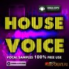 GigaLoops - House Voice (WAV) - вокальные сэмплы GigaLoops - House Voice (WAV) - вокальные сэмплы