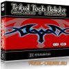 NTS Audio Labs - Tribal Tech Delight (WAV) - сэмплы Tribal Tech NTS Audio Labs - Tribal Tech Delight (WAV) - сэмплы Tribal Tech