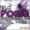 Led Samples - EDM Vocal Construction Kits Volume 1 (WAV MIDI) - сэмплы вокалов Led Samples - EDM Vocal Construction Kits Volume 1 (WAV MIDI) - сэмплы вокалов