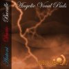 Precisionsound - Angelic Vocal Pads 2 (KONTAKT SF2 HALION) - вокальные сэмплы Precisionsound - Angelic Vocal Pads 2 (KONTAKT SF2 HALION) - вокальные сэмплы