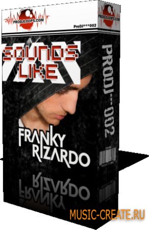 ProDJLoops - Sounds Like Franky Rizardo (Wav) - сэмплы синтезаторов