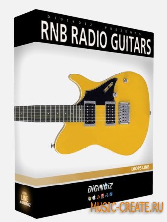 Diginoiz - R&B Radio Guitars (MULTIFORMAT) - лупы электрической гитары
