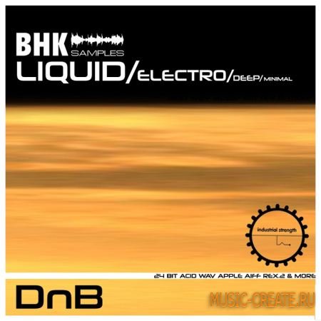 Industrial Strength Records BHK DnB - Liquid/Electro/Deep/Minimal (Multiformat)