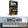 SoundMob - Roland SRX World Drums (WAV) - драм сэмплы SoundMob - Roland SRX World Drums (WAV) - драм сэмплы