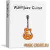 Pettinhouse - WarmJazz Guitar (KONTAKT) - библиотека jazz / funk электрогитары Pettinhouse - WarmJazz Guitar (KONTAKT) - библиотека jazz / funk электрогитары