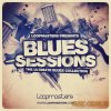 Loopmasters - The Blues Sessions (MULTIFORMAT) - сэмплы Blues Loopmasters - The Blues Sessions (MULTIFORMAT) - сэмплы Blues