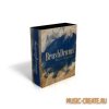 Wavesfactory - BrushDrums (KONTAKT) - библиотека звукоа драм установки