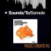 SM101 - Sylenth Progressive Patches - пресеты Sylenth1