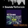 ShamanStems - NYC Tech House (WAV) - сэмплы Tech House ShamanStems - NYC Tech House (WAV) - сэмплы Tech House