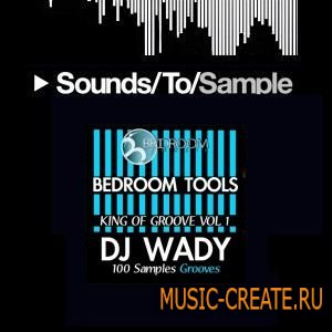 Bedroom Muzik - DJ Wady King Of Groove Vol 1 (WAV) - сэмплы deep, tech, tribal, minimal house