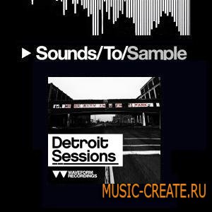Waveform Recordings - Detroit Sessions (WAV) - сэмплы Techno, Tech House