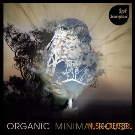 SPF Samplers Organic Minimal House (Wav) - сэмплы Minimal House