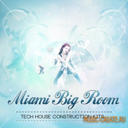 Shockwave - Miami Big Room vol.1 (WAV) - сэмплы House, Progressive, Tech