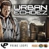 Prime Loops - Urban Echoez (WAV) - сэмплы Hip Hop, R&B
