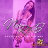 Dn Loops - Nu RnB: Pleasure & Pain Edition (WAV) - сэмплы RnB, Hip Hop Dn Loops - Nu RnB: Pleasure & Pain Edition (WAV) - сэмплы RnB, Hip Hop