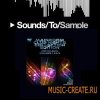 Mainroom Warehouse - Mainroom Club Nights Collection Edition Volumes 1, 2 & 3 - пресеты Sylenth1 Mainroom Warehouse - Mainroom Club Nights Collection Edition Volumes 1, 2 & 3 - пресеты Sylenth1