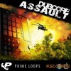 Prime Loops - Dubcore Assault (WAV) - сэмплы dubstep, electro, garage, reggaeton breaks Prime Loops - Dubcore Assault (WAV) - сэмплы dubstep, electro, garage, reggaeton breaks