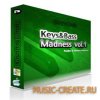 Ray Diaz Keys & Bass Madness - Volume 1 Funky & Latin Grooves (WAV) - сэмплы House, Electro House Ray Diaz Keys & Bass Madness - Volume 1 Funky & Latin Grooves (WAV) - сэмплы House, Electro House