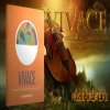 Sonokinetic - Vivace v1.2 (KONTAKT) - библиотека звуков оркестровых инструментов Sonokinetic - Vivace v1.2 (KONTAKT) - библиотека звуков оркестровых инструментов