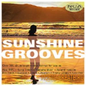 NCA - Sunshine Grooves (WAV) - сэмплы House