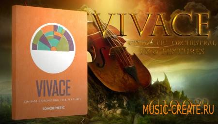 Sonokinetic - Vivace v1.2 (KONTAKT) - библиотека звуков оркестровых инструментов