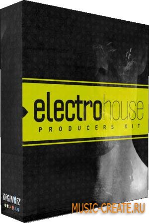 Diginoiz - Electro House Producers'Kit (WAV AIFF) - сэмплы Electro House Diginoiz - Electro House Producers'Kit (WAV AIFF) - сэмплы Electro House