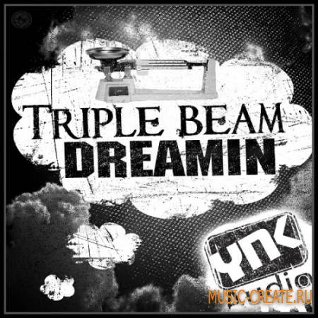 YnK Audio - Triple Beam Dreamin (MULTiFORMAT) - сэмплы Dirty South YnK Audio - Triple Beam Dreamin (MULTiFORMAT) - сэмплы Dirty South