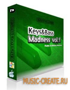 Ray Diaz Keys & Bass Madness - Volume 1 Funky & Latin Grooves (WAV) - сэмплы House, Electro House Ray Diaz Keys & Bass Madness - Volume 1 Funky & Latin Grooves (WAV) - сэмплы House, Electro House