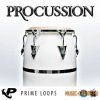 Prime Loops - Procussion (WAV REX AiFF) - драм сэмплы Prime Loops - Procussion (WAV REX AiFF) - драм сэмплы