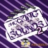 Vandalism - Shocking Sounds 2 (Sylenth1 Presets) Vandalism - Shocking Sounds 2 (Sylenth1 Presets)