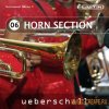 Ueberschall - Horn Section (ELASTiK) - банк для плеера ELASTIK Ueberschall - Horn Section (ELASTiK) - банк для плеера ELASTIK