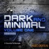 Sounds to Sample - Dark and Minimal Volume One (WAV MIDI) - сэмплы Minimal Techno Sounds to Sample - Dark and Minimal Volume One (WAV MIDI) - сэмплы Minimal Techno