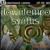 Soundtrack Loops - Downtempo Synths (WAV REX AIFF) - сэмплы Downtempo, Hip Hop, Trip Hop, Chillout, House, Minimal, Glitch, Tech, Industrial Soundtrack Loops - Downtempo Synths (WAV REX AIFF) - сэмплы Downtempo, Hip Hop, Trip Hop, Chillout, House, Minimal, Glitch, Tech, Industrial