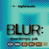 Big Fish Audio - Blur Downtempo Pak (WAV REX AiFF RMX) - сэмплы Downtempo Big Fish Audio - Blur Downtempo Pak (WAV REX AiFF RMX) - сэмплы Downtempo