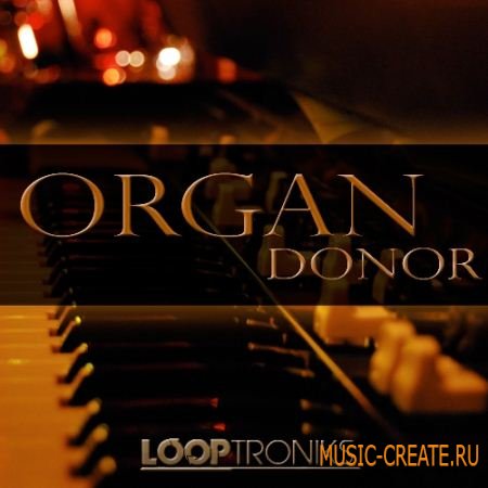 Looptroniks - Organ Donor (WAV MIDI) - сэмплы органа