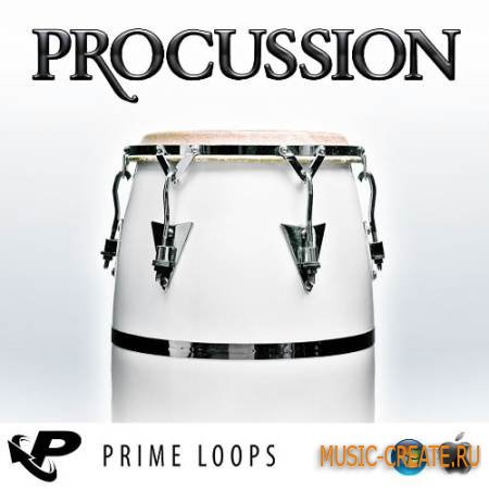 Prime Loops - Procussion (WAV REX AiFF) - драм сэмплы Prime Loops - Procussion (WAV REX AiFF) - драм сэмплы