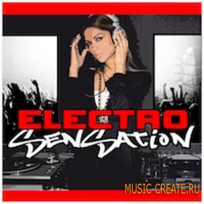 Big Fish Audio - Electro Sensation (WAV AIFF MIDI) - сэмплы Electro House