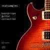 Realsamples - Overdriven Guitar Collection (MULTiFORMAT) - сэмплы электрогитары