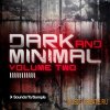 Sounds To Sample - Dark and Minimal Volume Two (WAV MIDI) - сэмплы Minimal
