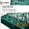 Puremagnetik - Synth Arsenal (ALP) - сэмплы синтезаторов Puremagnetik - Synth Arsenal (ALP) - сэмплы синтезаторов