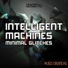Temporal Geometry - Intelligent Machines: Minimal Glitches (WAV) - сэмплы Minimal Techno Temporal Geometry - Intelligent Machines: Minimal Glitches (WAV) - сэмплы Minimal Techno